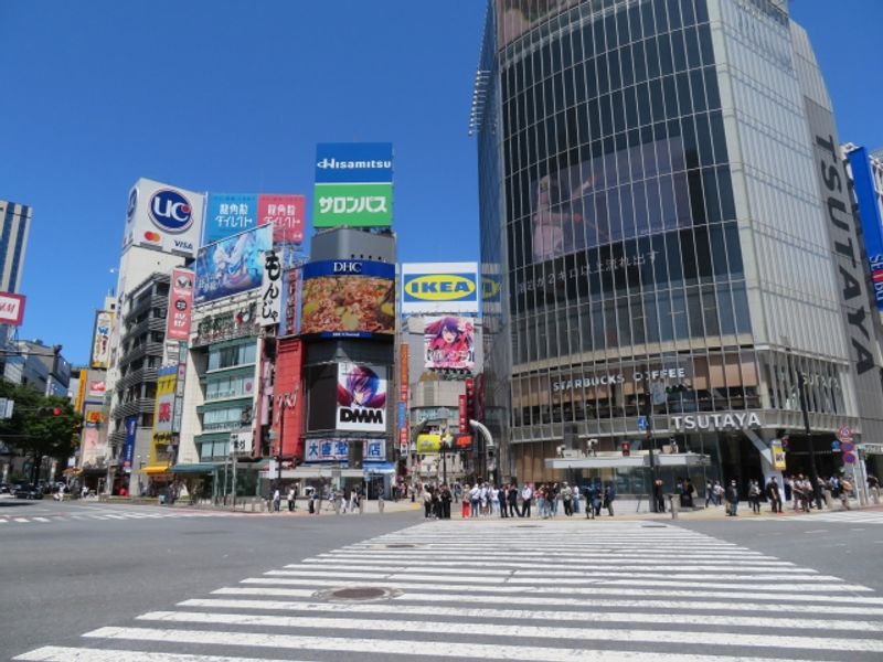 Tokyo Private Tour - Shibuya