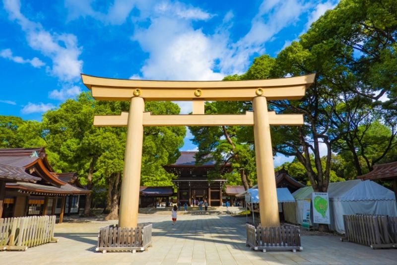 Tokyo Private Tour - Meiji Jingu Shrine