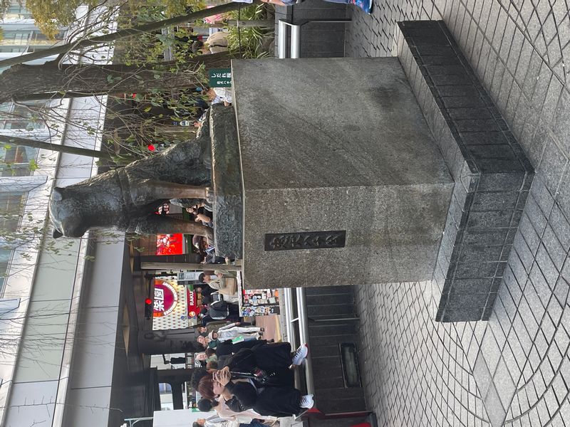 Tokyo Private Tour - Hachi-ko statue