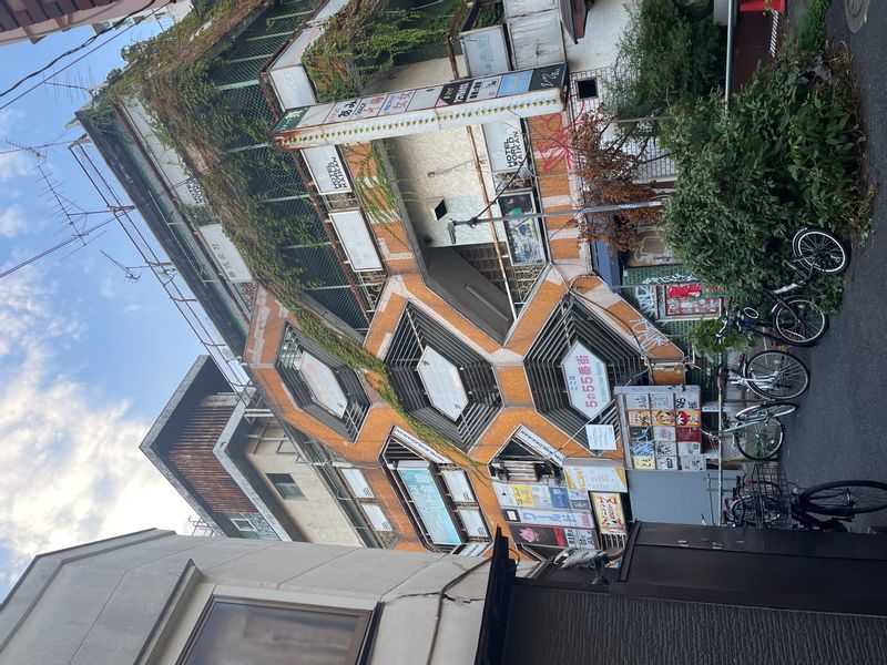 Tokyo Private Tour - Back streets of Nakano