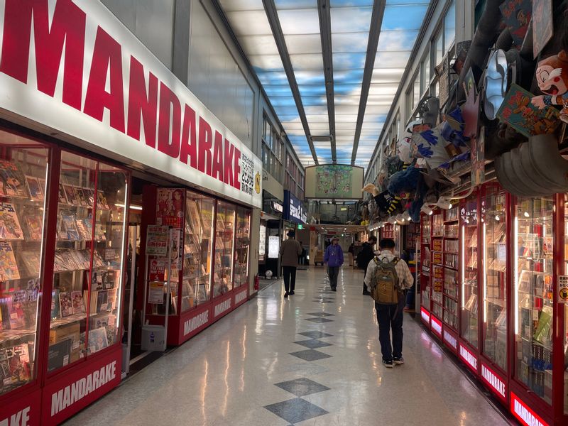 Tokyo Private Tour - Giant comic shop