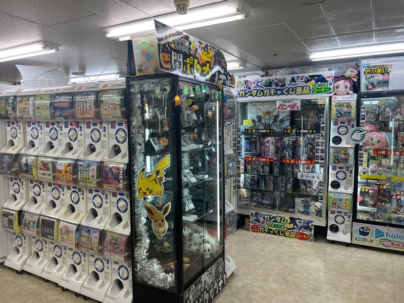 Tokyo Private Tour - Gacha machines