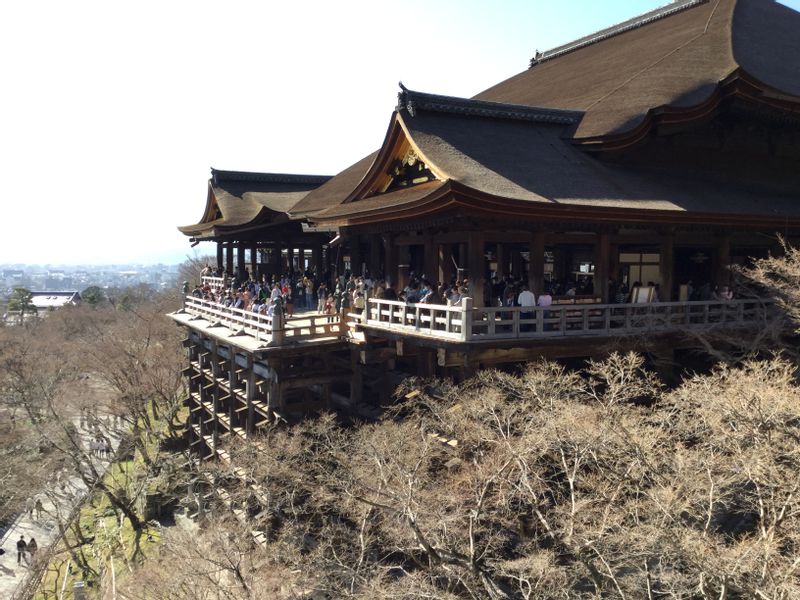 Tokyo Private Tour - 1. Miyabi: Kiyomizu-dera Temple (World Heritage)