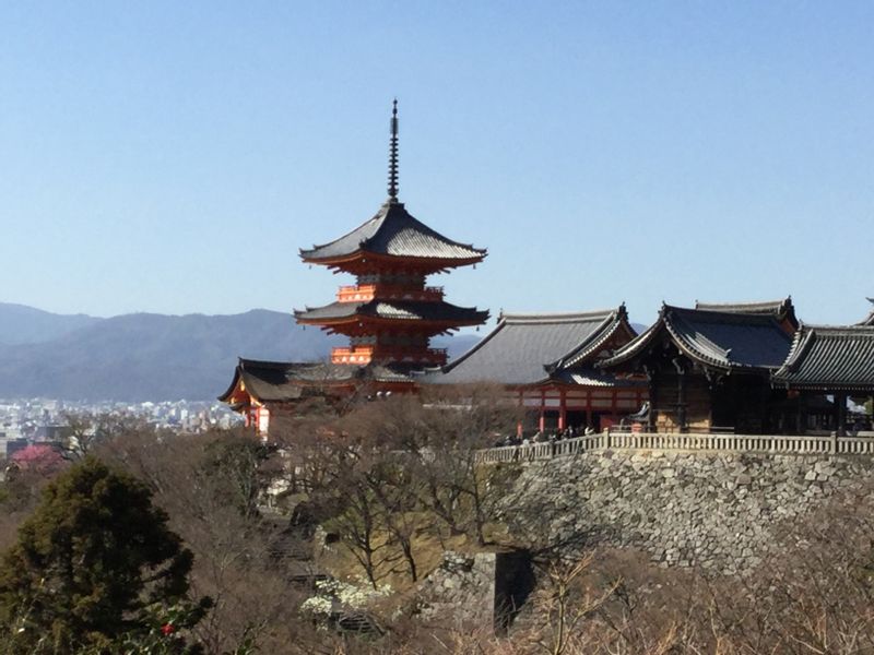 Tokyo Private Tour - 1. Miyabi: Kiyomizu-dera Temple (Three story Pagoda)