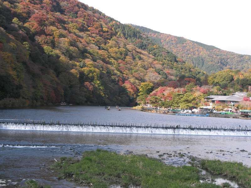 Tokyo Private Tour - 2.Golden: Arashiyama area