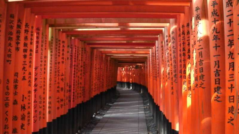Tokyo Private Tour - 1. Miyabi: One thousand Torii gates of Fushimi-inari Shrine.