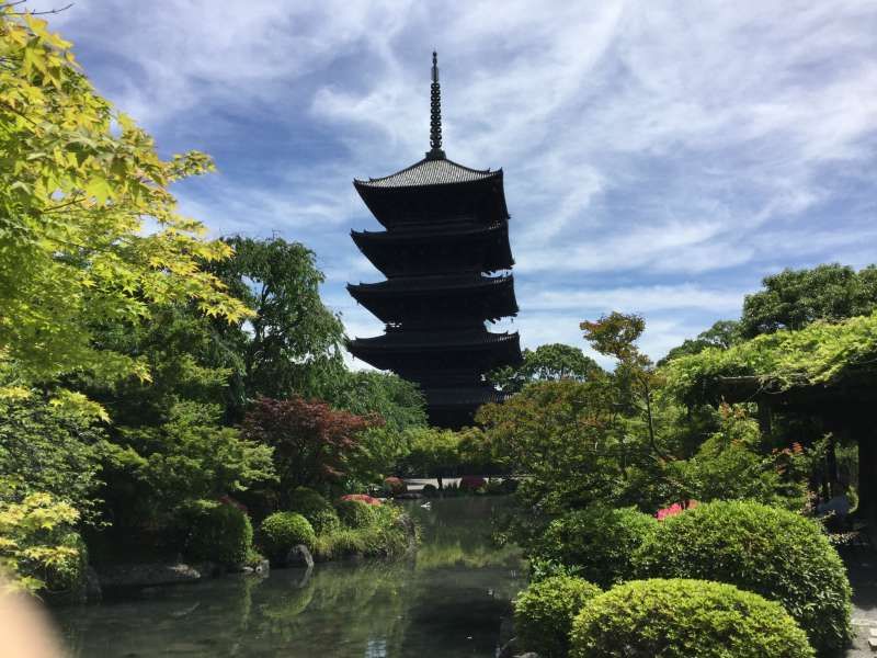 Tokyo Private Tour - 3．History: Japanese Garden and the five story Pagoda in To-ji Temple