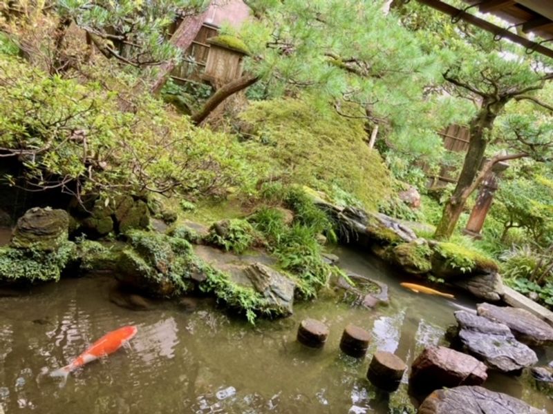 Kanazawa Private Tour - Nomura house garden