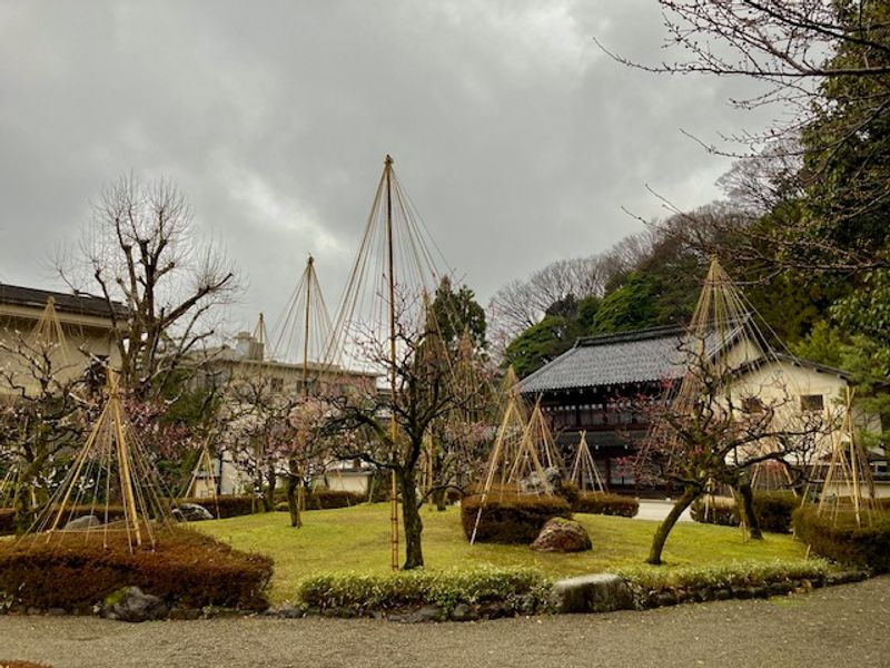 Kanazawa Private Tour - Honda park