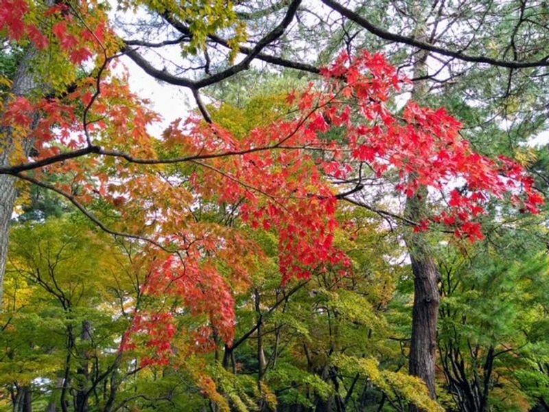 Kanazawa Private Tour - Kenrokuen