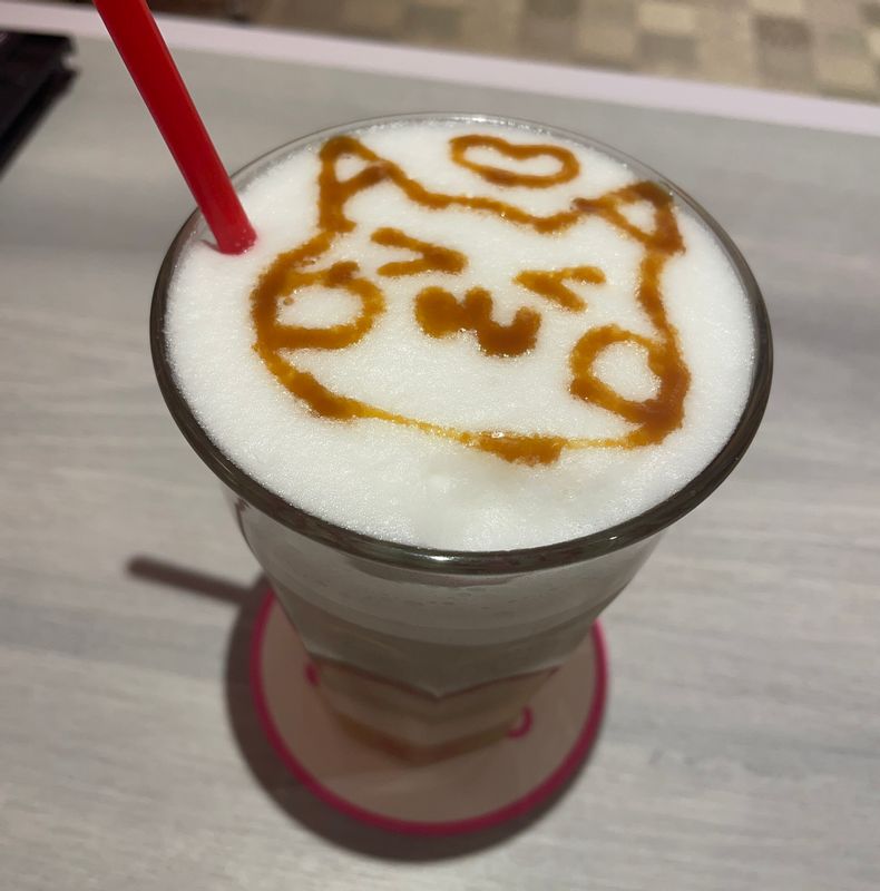 Tokyo Private Tour - Maid Cafe latte