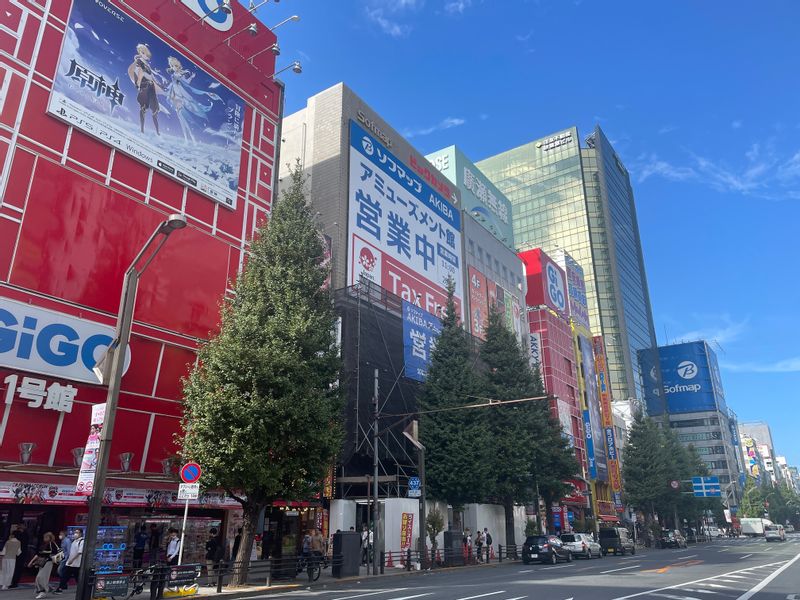 Tokyo Private Tour - Akihabara