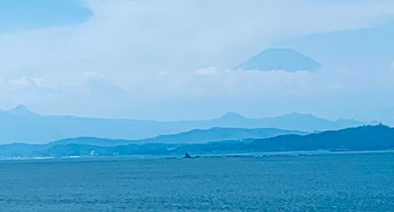 Kamakura Private Tour - My. Fuji from Enoshima Sea Candle 