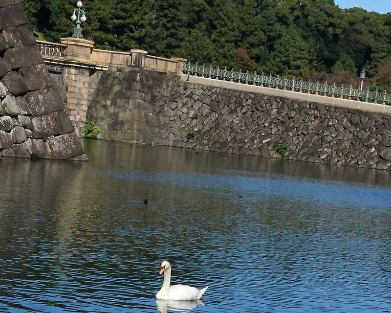 Tokyo Private Tour - La douve de Sakurada