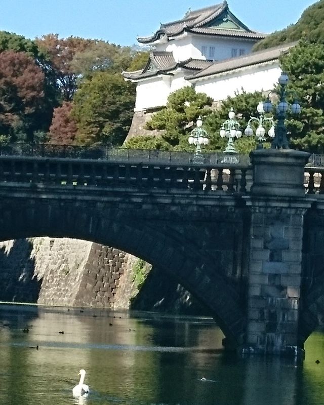 Tokyo Private Tour - Les ponts doublés