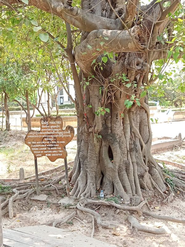 Sihanoukville Private Tour - Killing Field