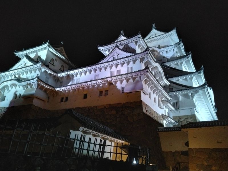 Himeji Private Tour - Himeji Castle