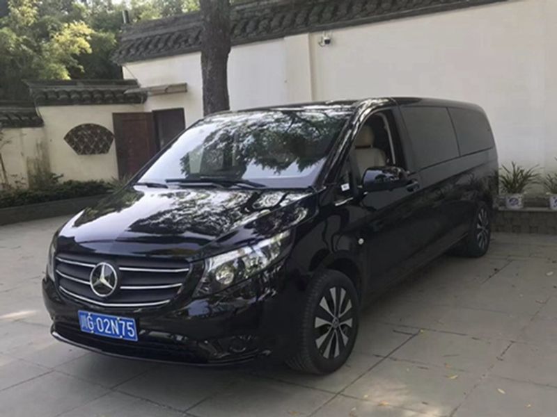 Chengdu Private Tour - 9 seats van