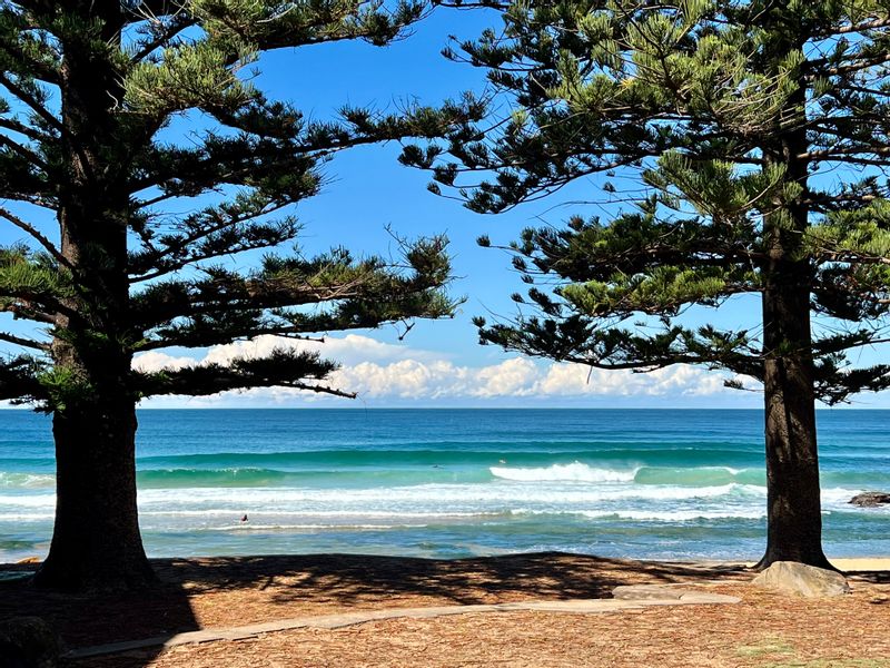 Sydney Private Tour - Avalon Beach