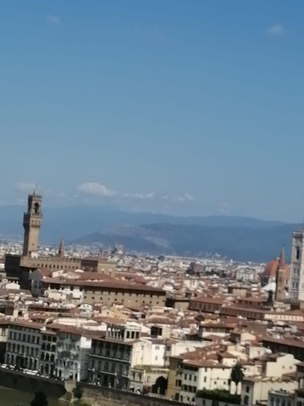 Florence Private Tour - View of Florence