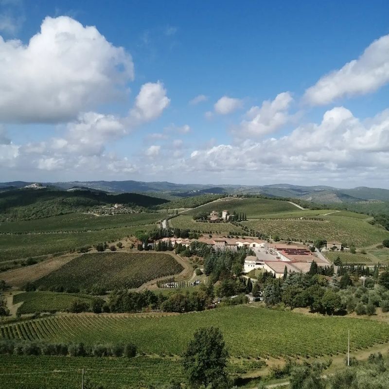 Florence Private Tour - View of the Chianti Classico area