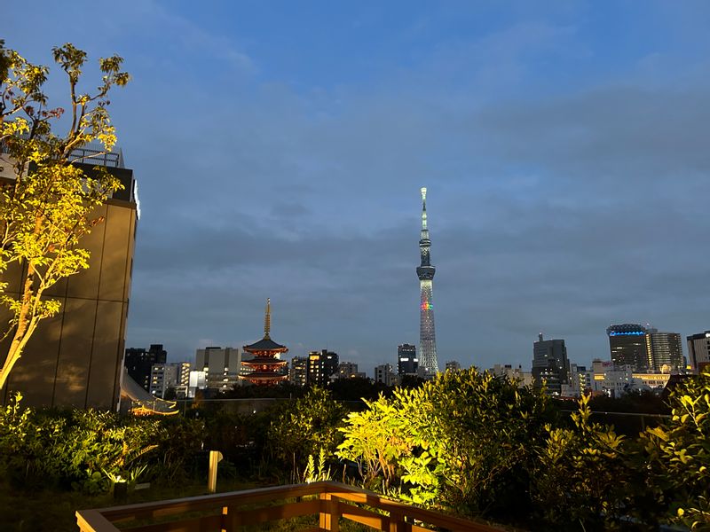 Tokyo Private Tour - Illuminated 5-stories pagoda and Sky Tree