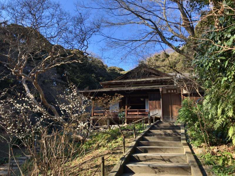 Yokohama Private Tour - Gekka-den Guest House, originaly built in 1603, as a waiting room for feudal lords in Kyoto, designated as an Important Cultural Asset, in Sankeien Garden