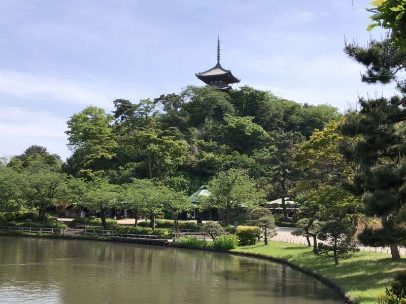 Yokohama Private Tour - Sankeien Garden, a spacious traditional Japanese-style garden, where you can see a lot of historic buildings relocated from all over Japan