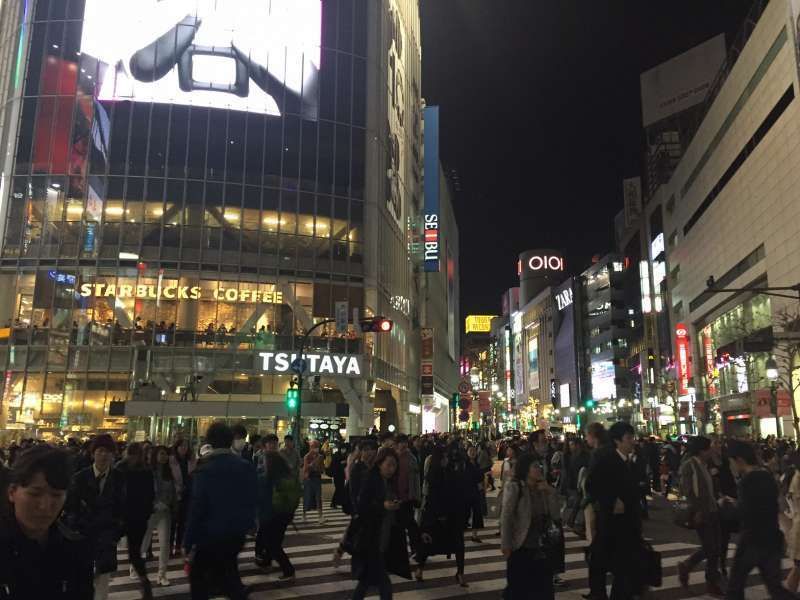 Tokyo Private Tour - The "Scramble" intersection, Shibuya