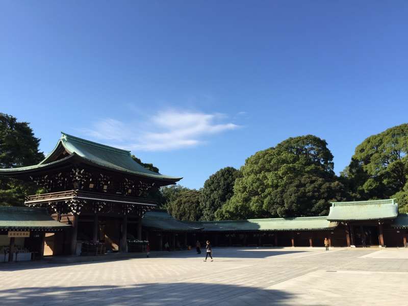 Tokyo Private Tour - Magnificent Meiji Shrine