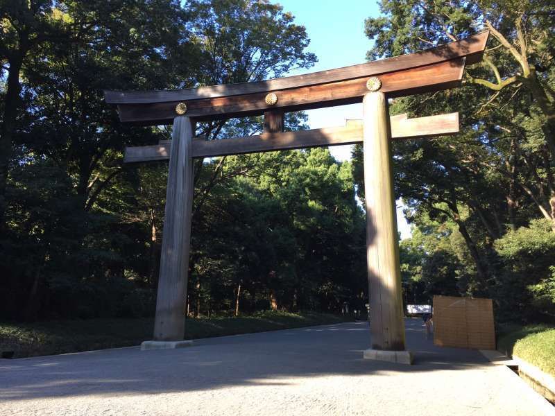 Tokyo Private Tour - Maginificent Meiji Shrine