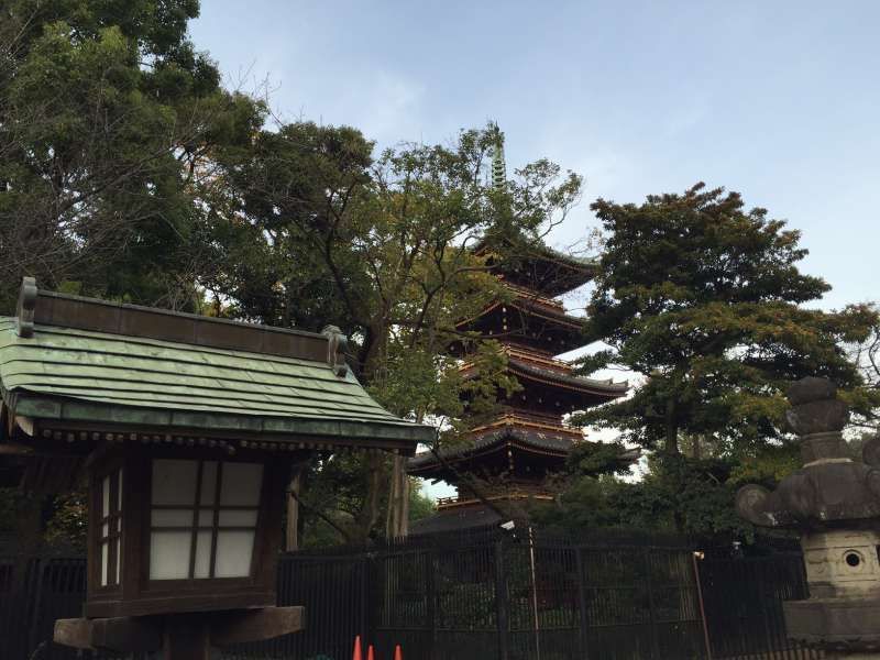 Tokyo Private Tour - Five-story pagoda in Ueno Park.
