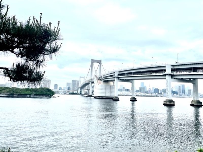 Tokyo Private Tour - Rainbow Bridge in Odaiba