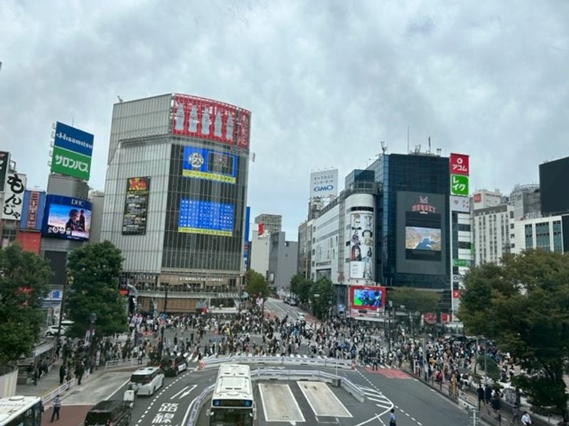 Tokyo Private Tour - Shibuya Crossing