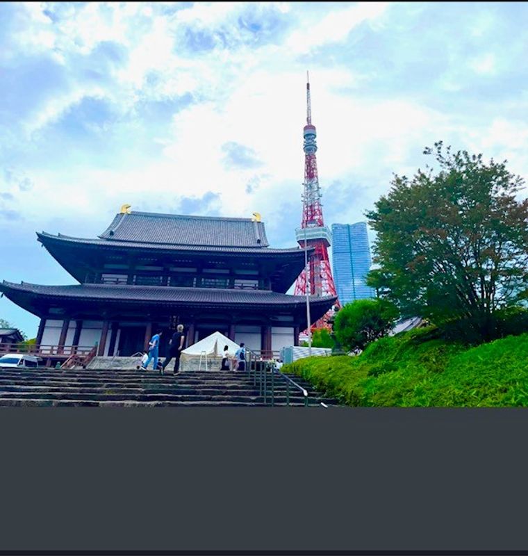 Tokyo Private Tour - Tokyo Tower and Zojo-ji Temple