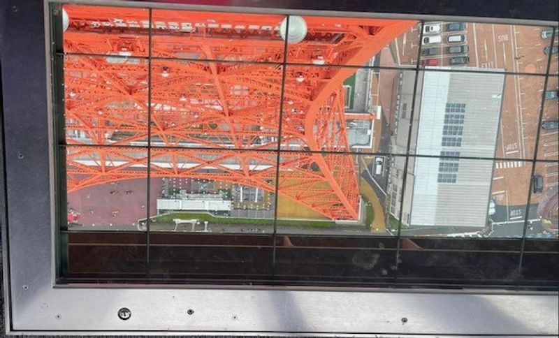 Tokyo Private Tour - Tokyo Tower Floor which is made of glass.