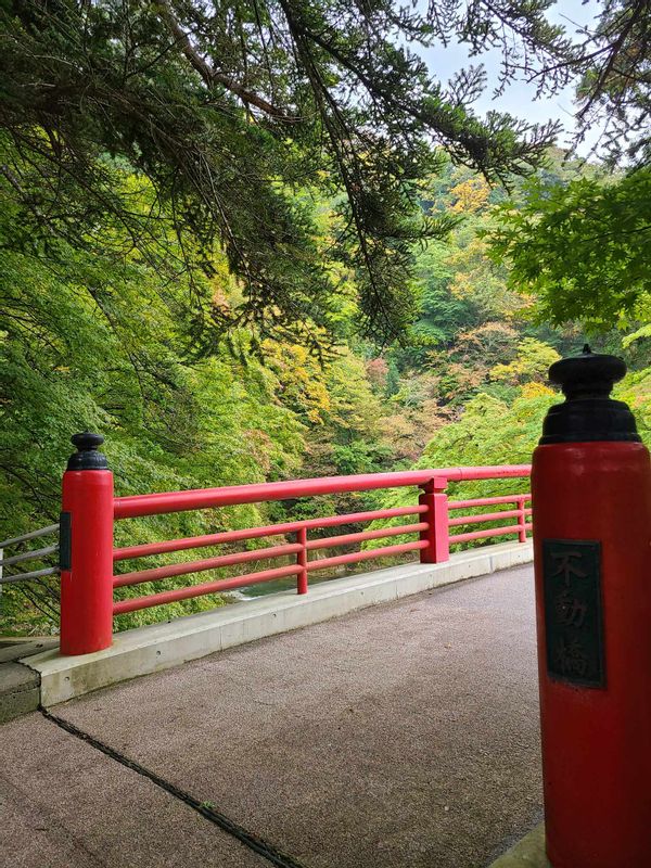 Aomori Private Tour - Nakano Momiji-yama area 