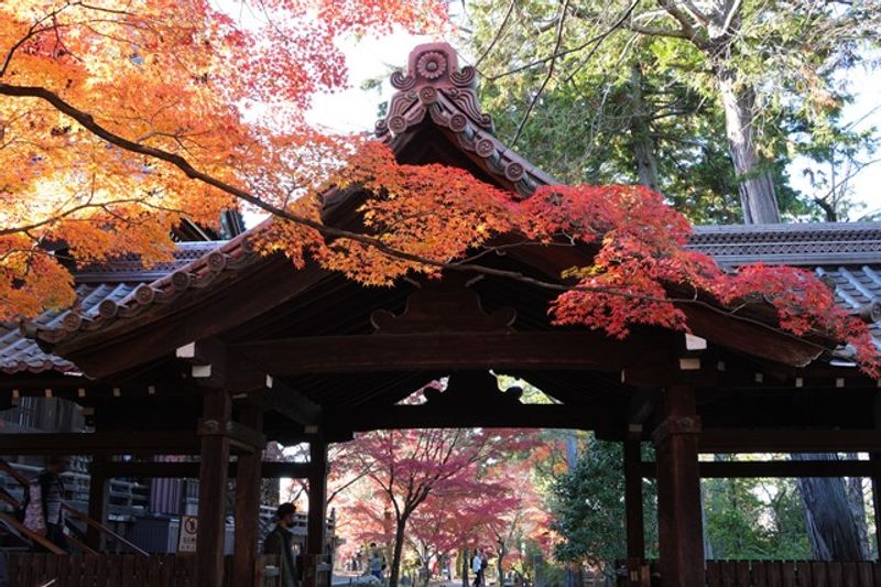 Kyoto Private Tour - Shinnyodo Temple