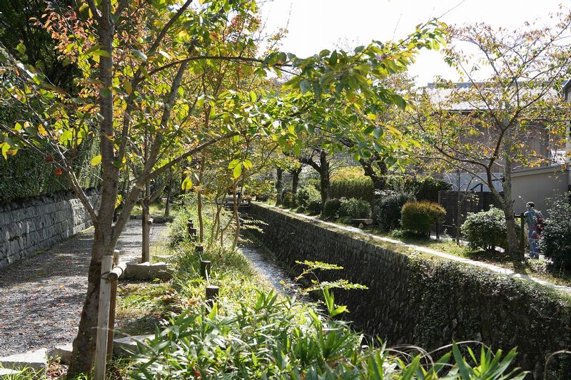 Kyoto Private Tour - Philosopher's Path