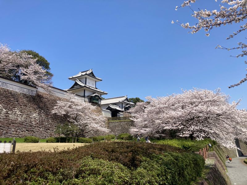 Kanazawa Private Tour - Castle parc