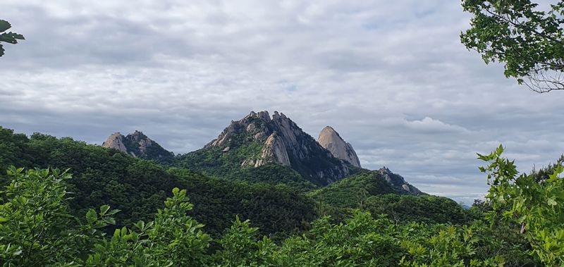 Seoul Private Tour - Summer view by Hans