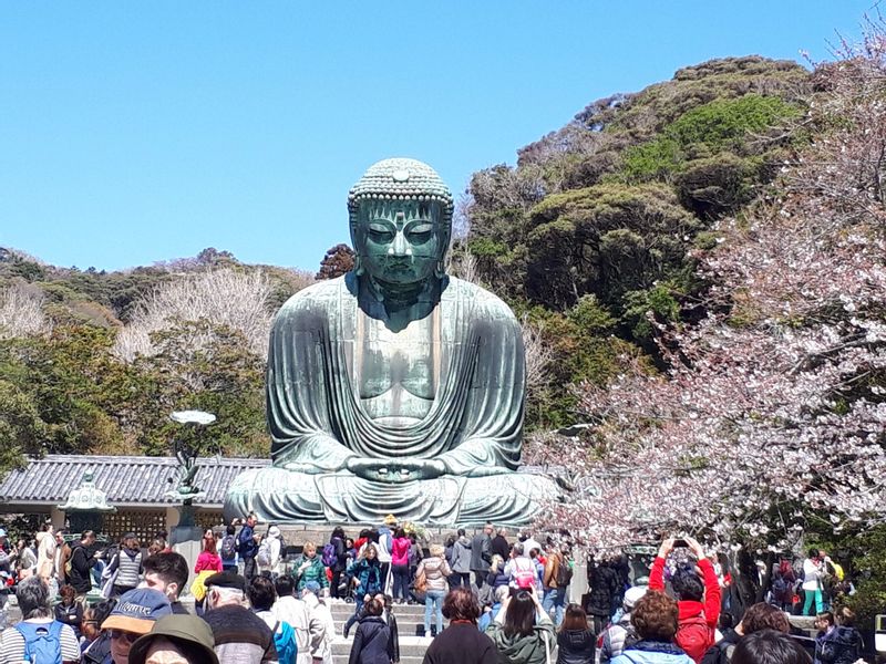 Tokyo Private Tour - Kamakura Daibutsu, the Great Buddha statue dsignated as the national treasure is overwheming!