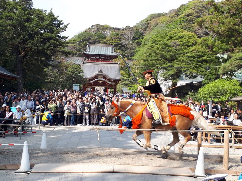 Tokyo Private Tour - Tsurugaoka Hachimangu Shrine, the most prestigious shrine, the landmark of Kamakura, 