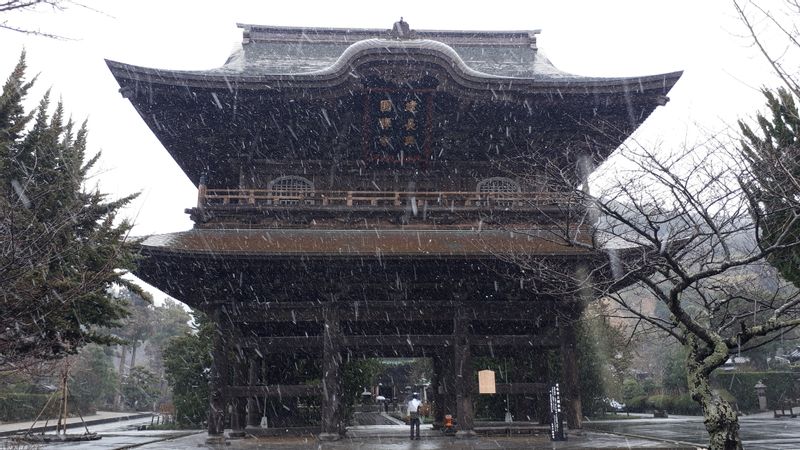 Tokyo Private Tour - Kenchoji Temple, one of the most prestigious Zen Temples of Kamakura, famous for exquisite painting of dragon on the ceiling of Holy Hall.