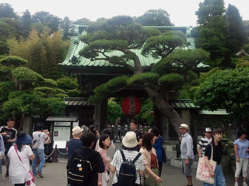 Tokyo Private Tour - Hasedera Temple, famous for the highest surviving wooden Buddhist statue with eleven faces, beautiful gardens with plenty of seasonal flowers and the observatory for enjoying a stunning view of Yuigahama beach