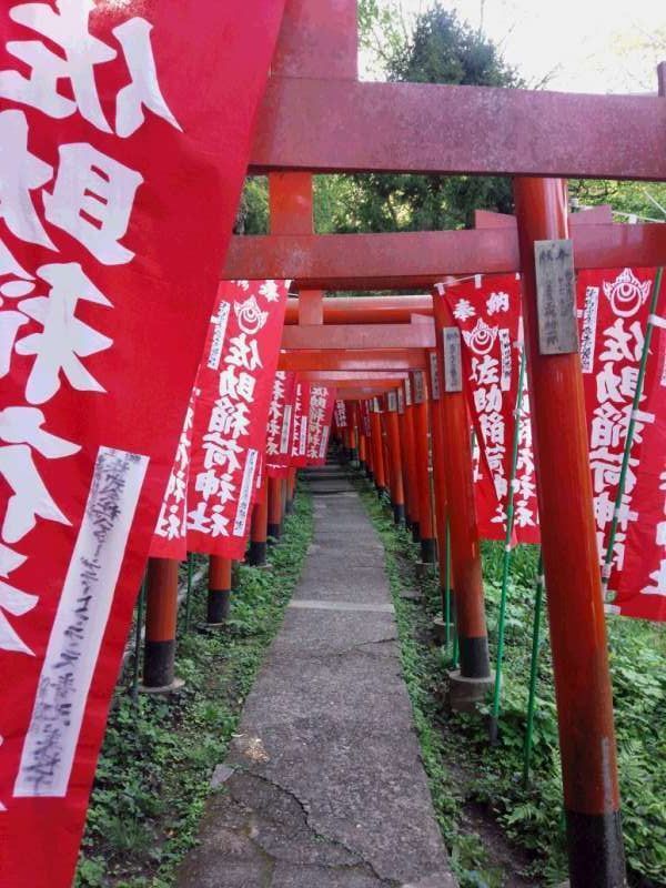 Tokyo Private Tour - Sasuke Inari Shrine, the wonderful power spot shrine, famous for very impressive red colored torii gates leading you to the uniquely designed pretty fox statues.