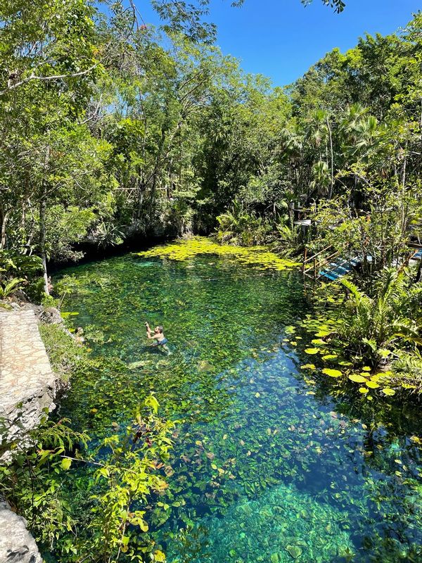 Quintana Roo Private Tour - null