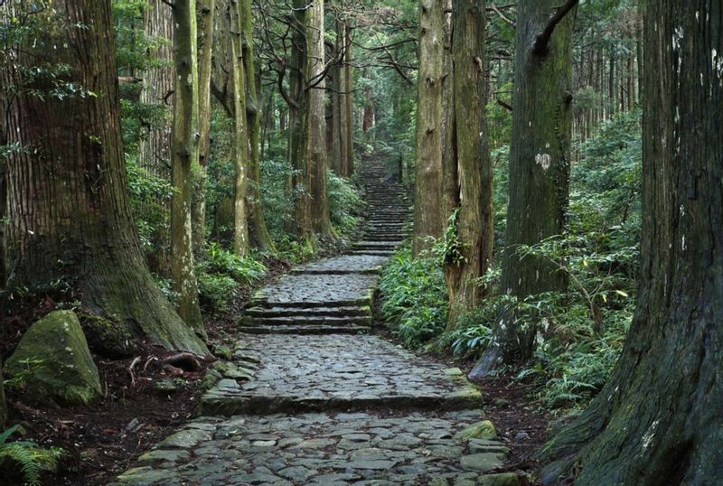 Kumano Private Tour - null