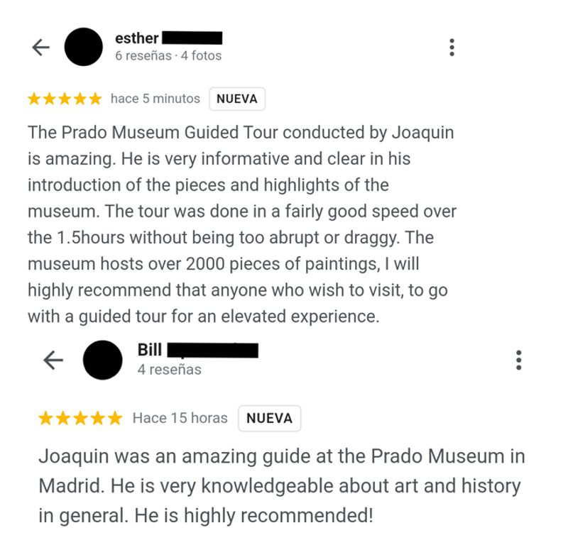 Madrid Private Tour - Reviews from previous tourists on my Prado tour
