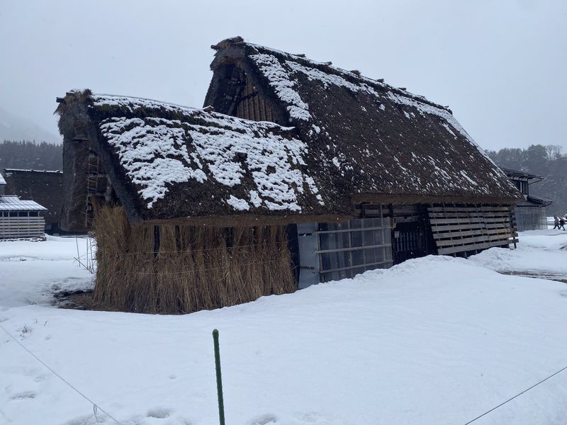 Kanazawa Private Tour - Winter visit